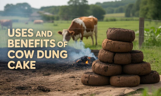 uses benefits of cow dung cake