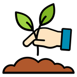 Trees Planted