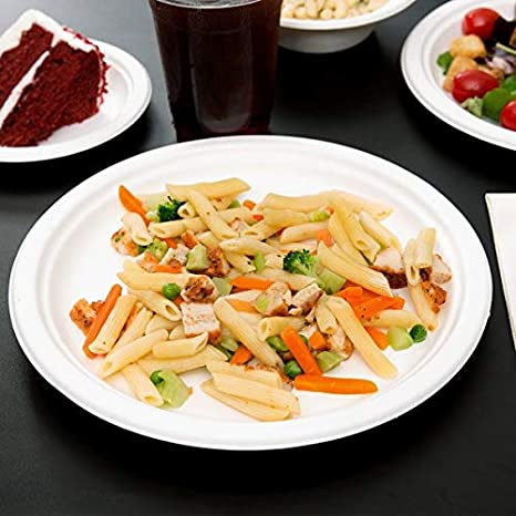 Packmate 10 Inch Bagasse Round Plate (Pack of 25)