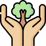 Trees Saved